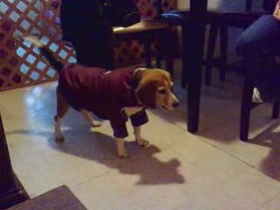 Hipo con Wall-E 1