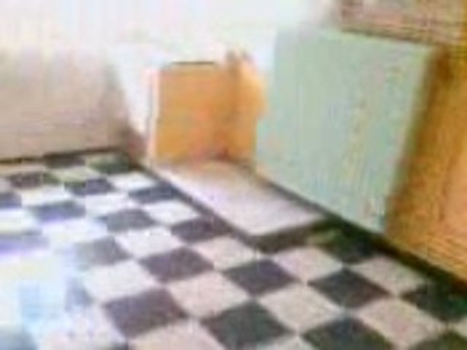 notre maison à Tourcoing (avec travaux à faire)