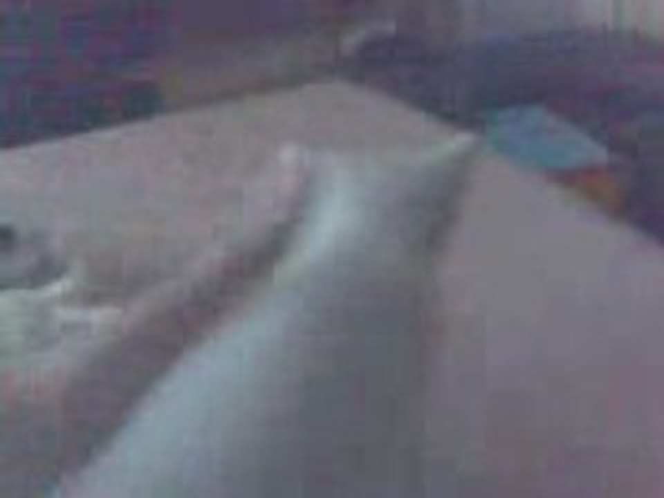 Ma petite chatte : Amnézia