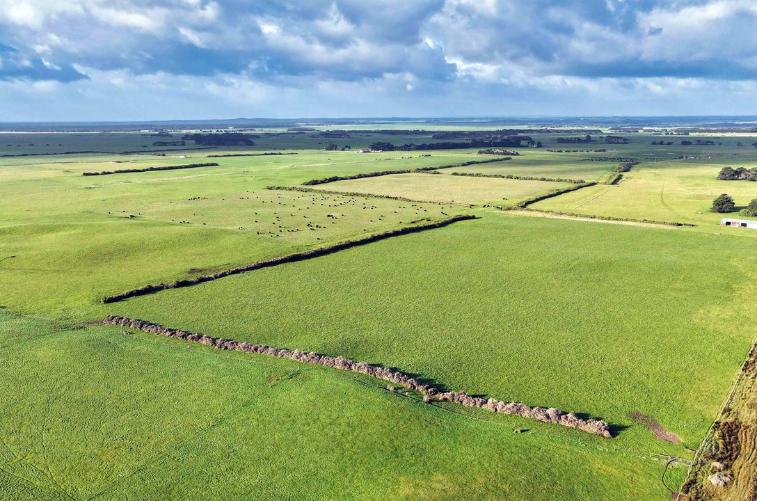 Rare chance to buy a four farm beef portfolio on King Island.