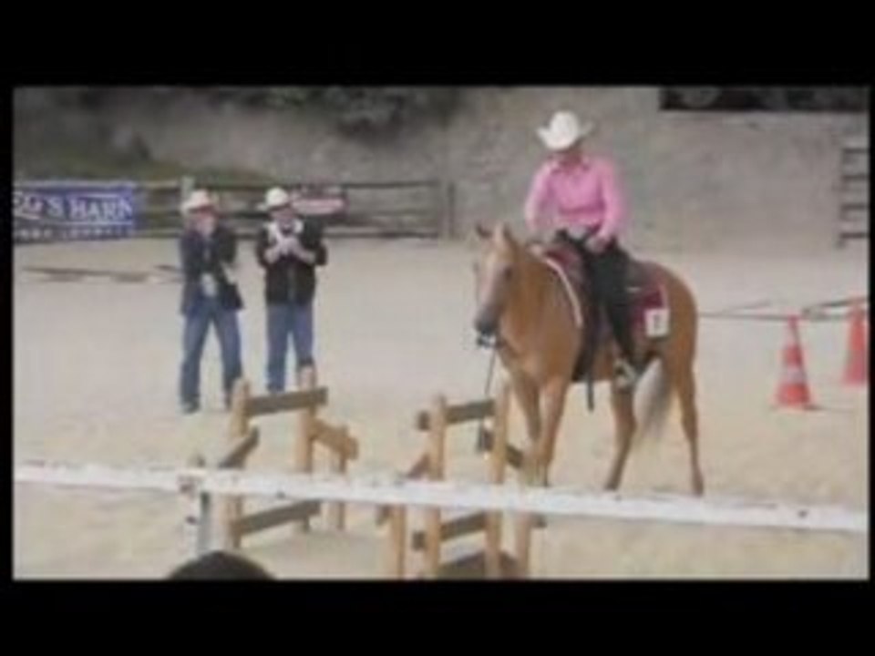 Concours FFE western, Greg's Barn