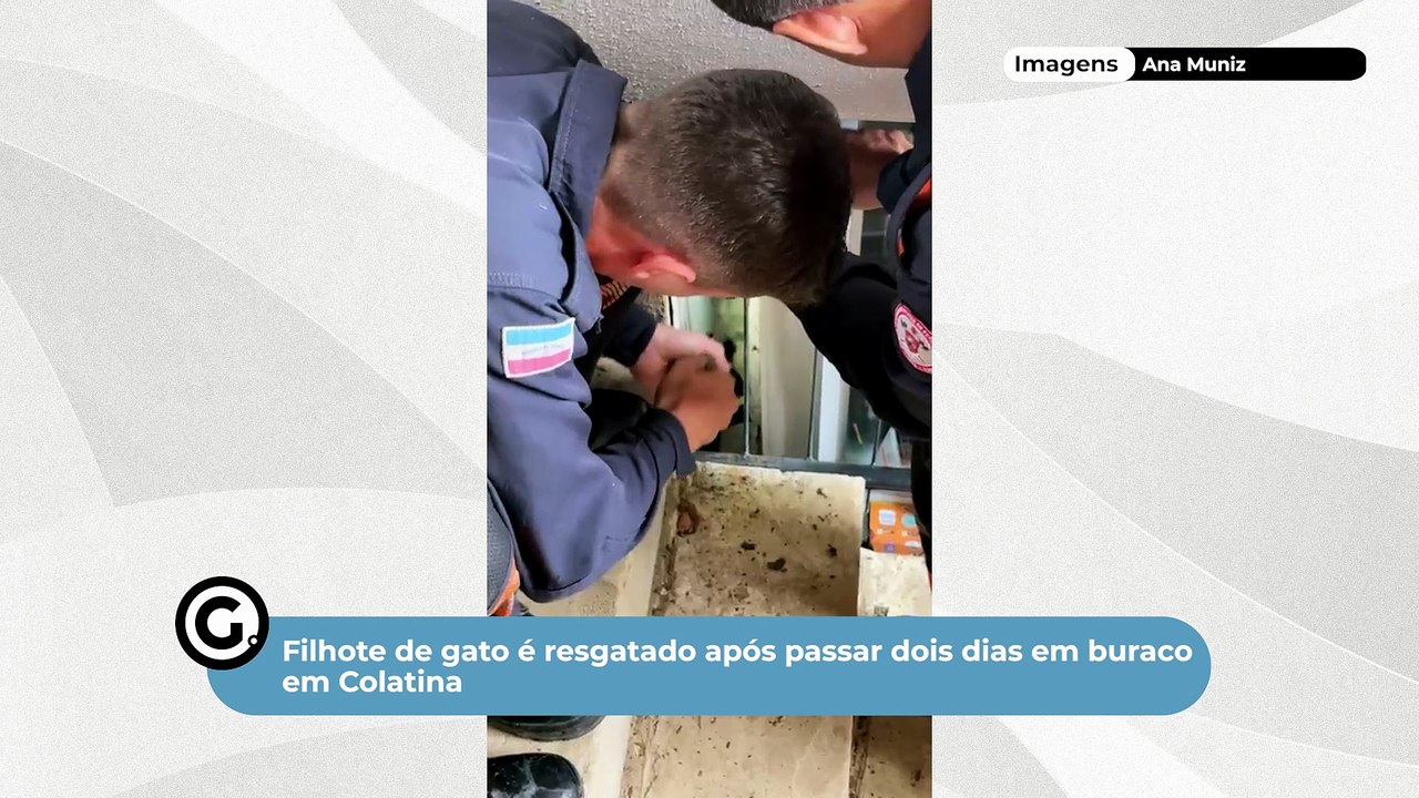 Filhote de gato é resgatado após passar dois dias em buraco em Colatina
