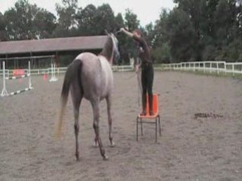 aspirations travail à pied