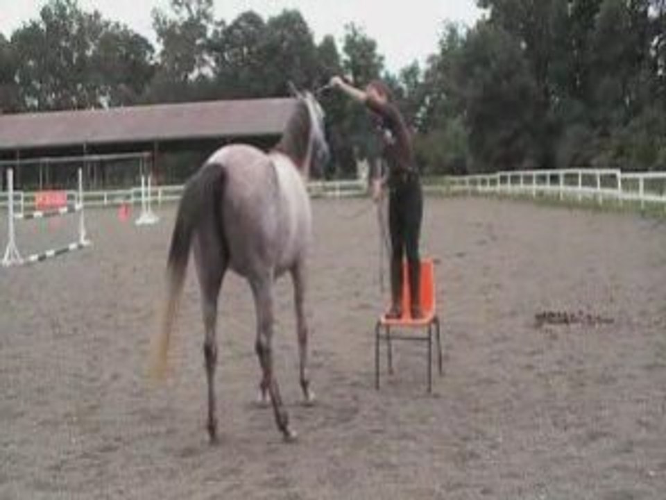 aspirations travail à pied