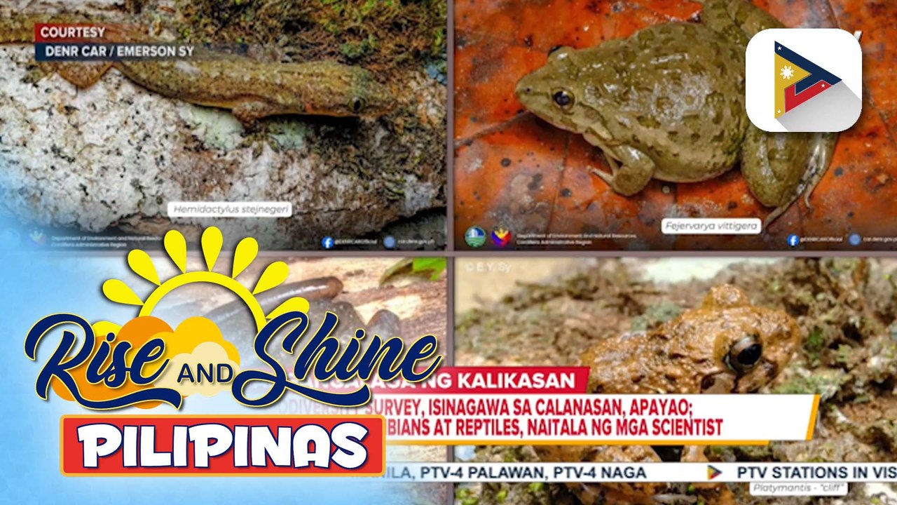 Biodiversity survey, isinagawa sa Calanasan, Apayao; 15 species ng amphibians at reptiles, naitala ng mga scientist