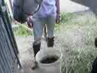 Er Renardo, J.Albrto y yo