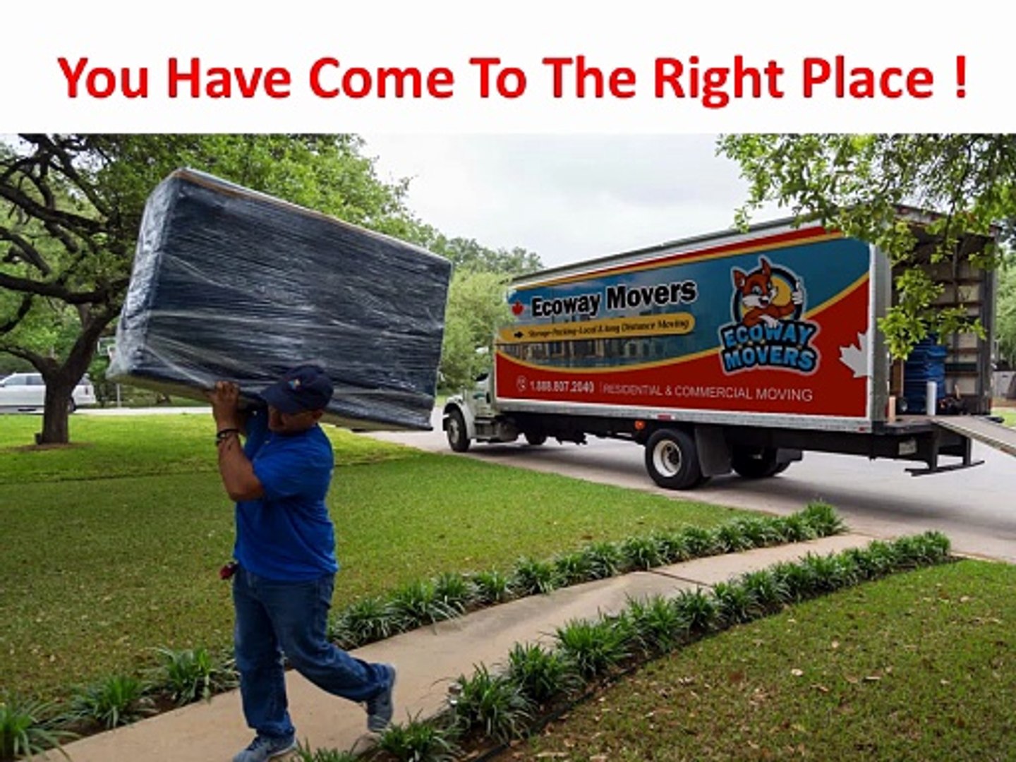 ⁣Ecoway Movers : Affordable Moving Company in Guelph You Can Actually Trust