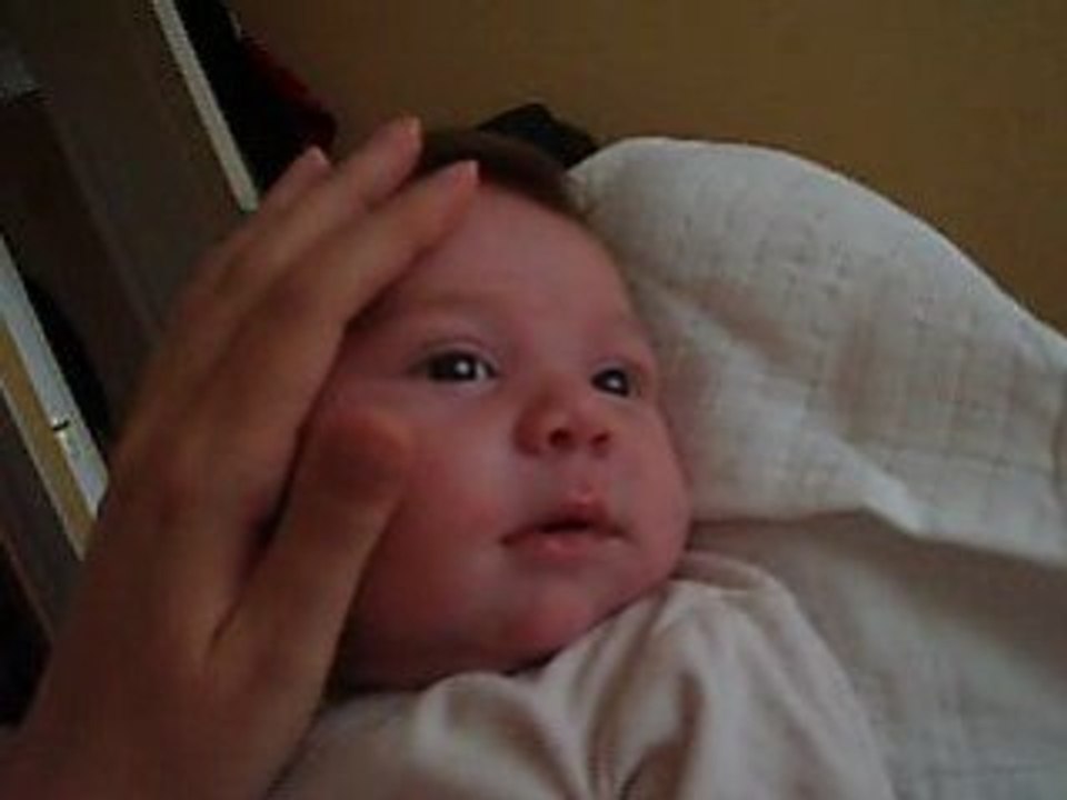 Calin