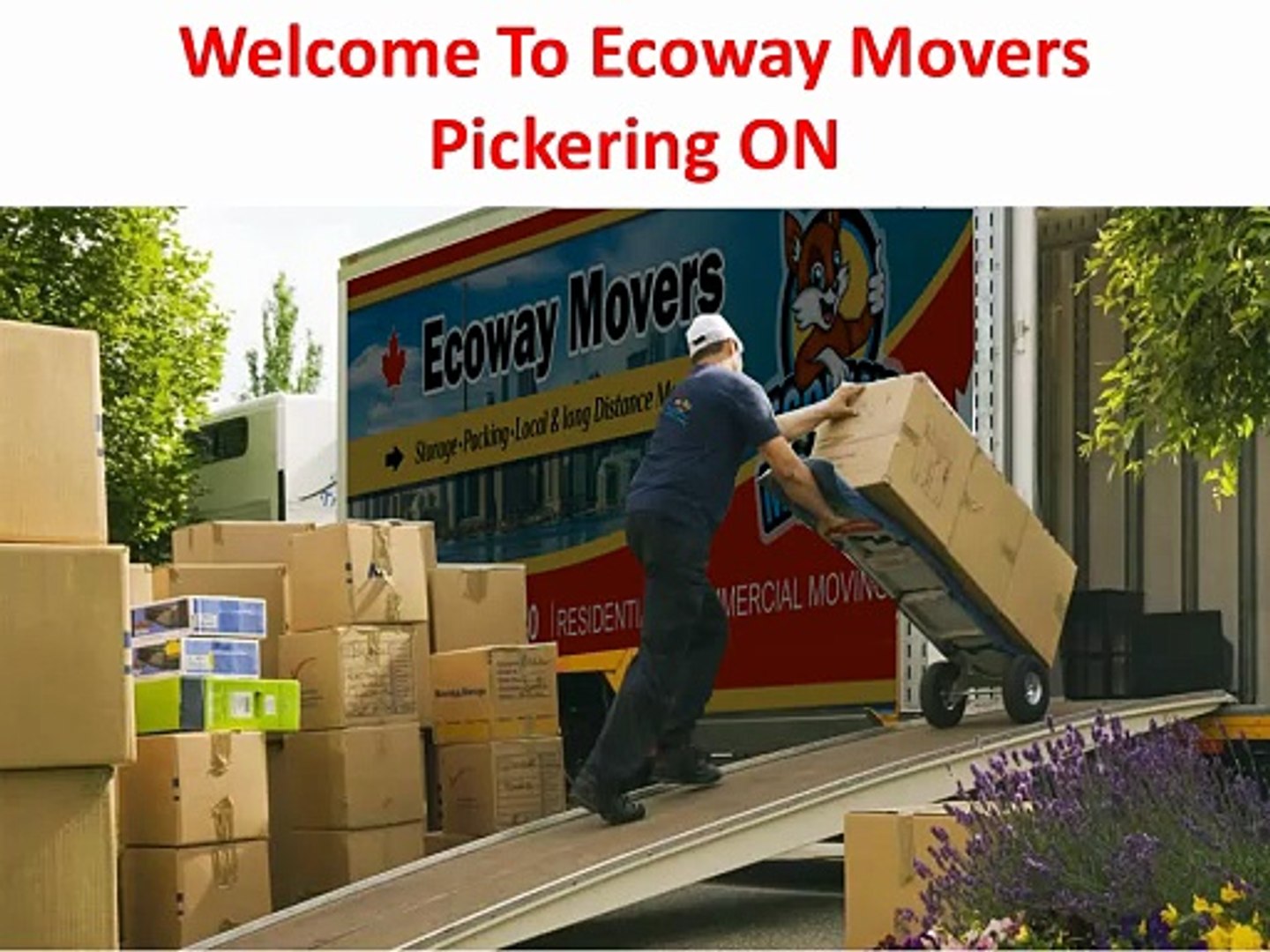 Ecoway Movers : Affordable Moving Company in Pickering You Can Actually Trust