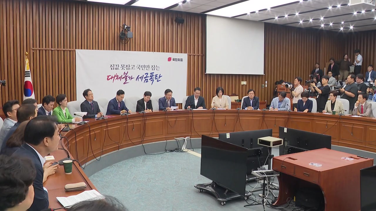 국민의힘 