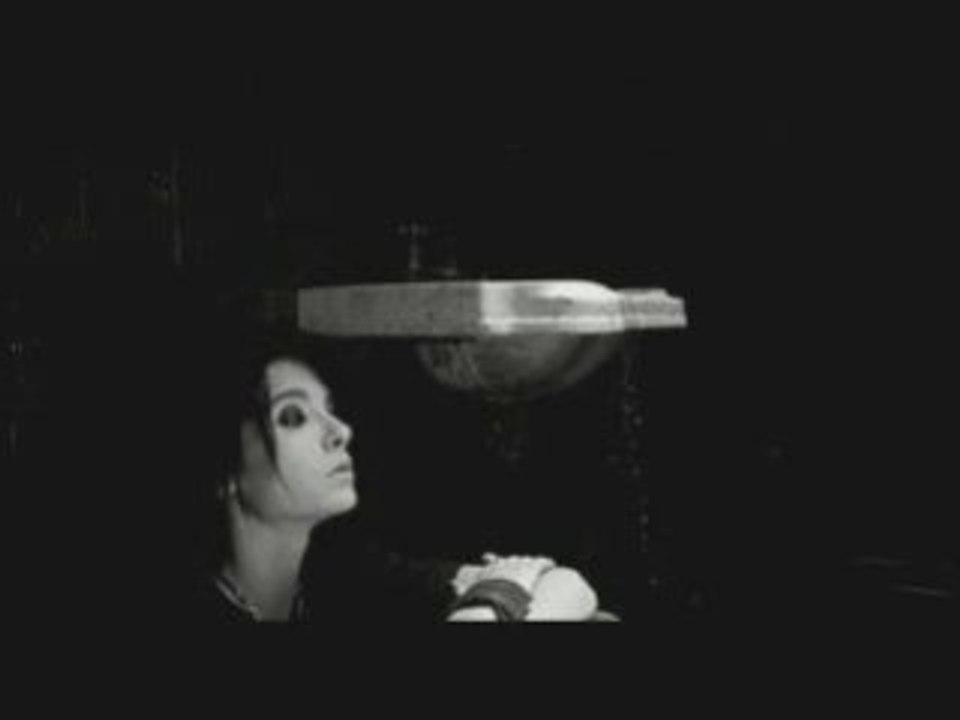 The good luck joes - frozen