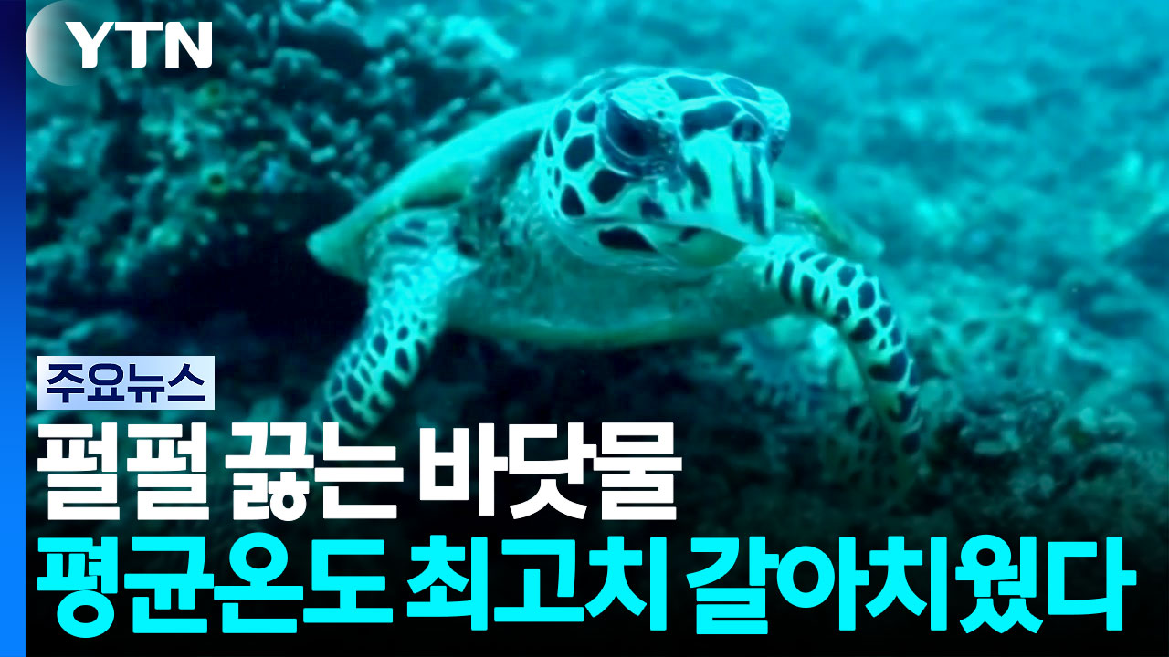 펄펄 끓는 바닷물...평균온도 사상 최고치 갈아치웠다 / YTN