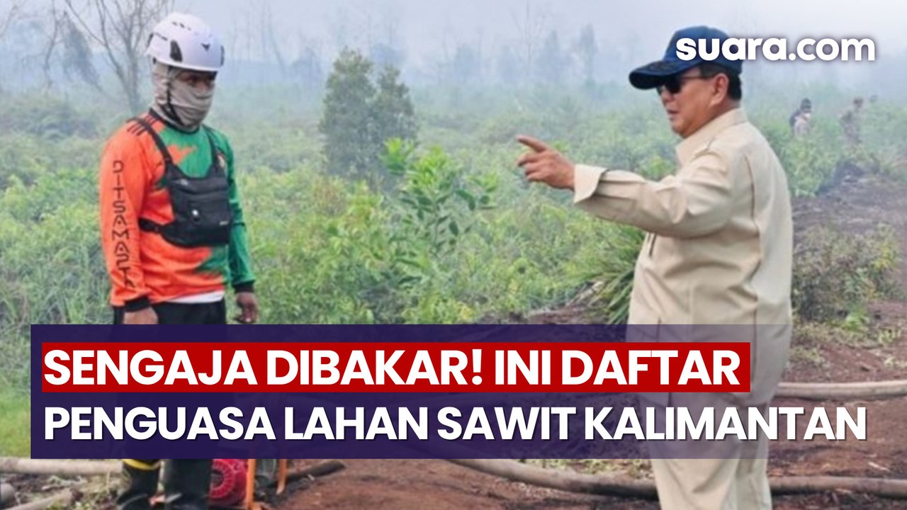 Sengaja Dibakar! Ini Daftar Konglomerat RI yang Kuasai Lahan Sawit Kalimantan
