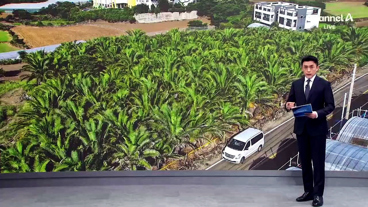 숙소도 시신도 반경 2km 이내…사망 전까지 동선은?