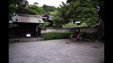 Photos That Stray from the Main Topic #2