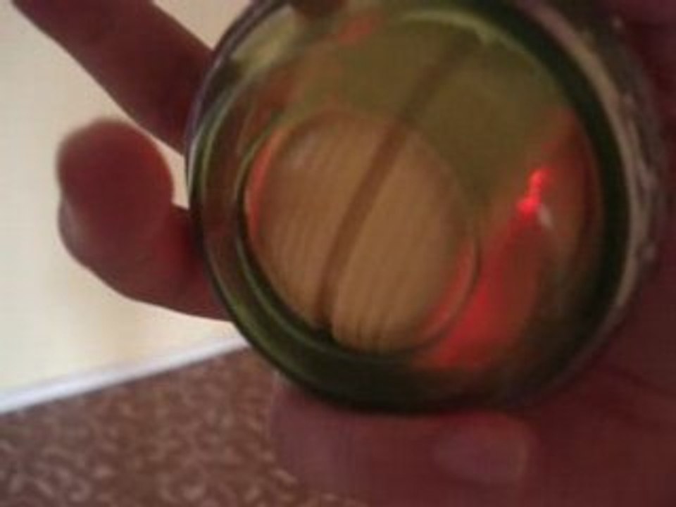 MOV02831