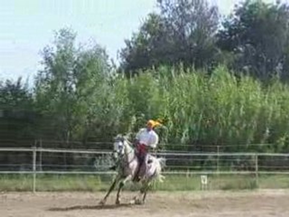 SPECTACLE CHEVAL CORNILLON 13               5384