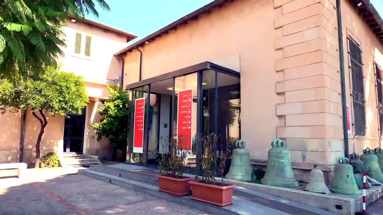 Rtp telegiornale del 25 agosto 2026