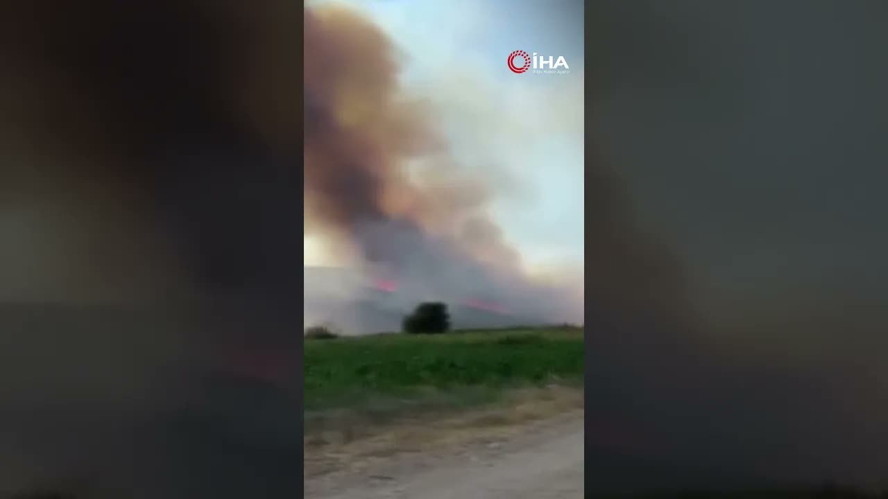 Bursa Nilüfer’de Tarım Alanında Başlayan Yangın Ormana Sıçradı!