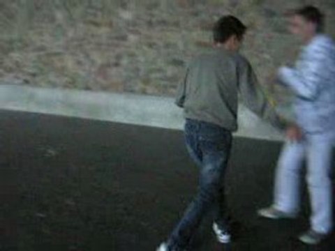 Le lac des cygnes (revisités par yann42 et yo20)