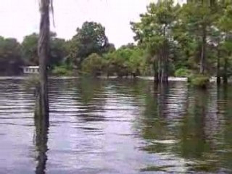 bayous l’Atchafalaya Basin