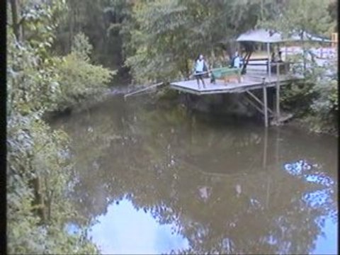 Mon 1er saut a l'élastique