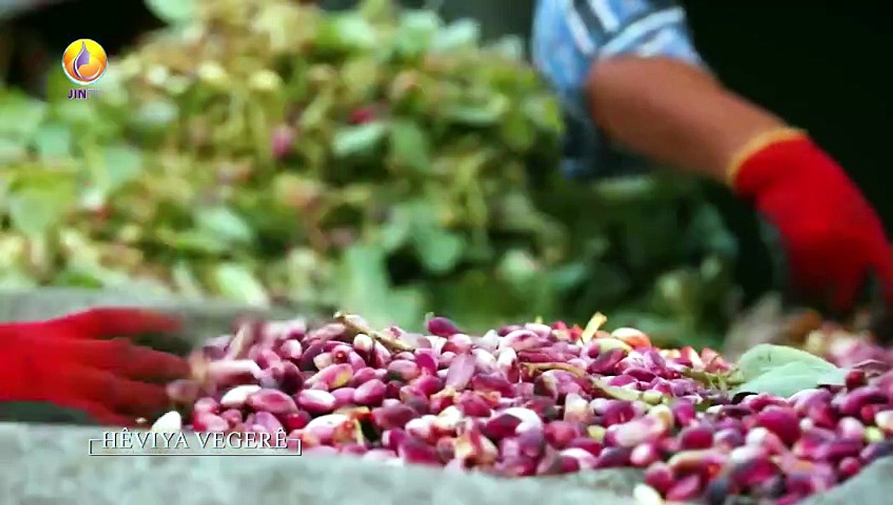JIN TV-HÊVIYA VEGERÊ-Zeynep Payam