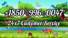 How to Contact coinbase® Customer Service: Official 24/7 Support Guide
