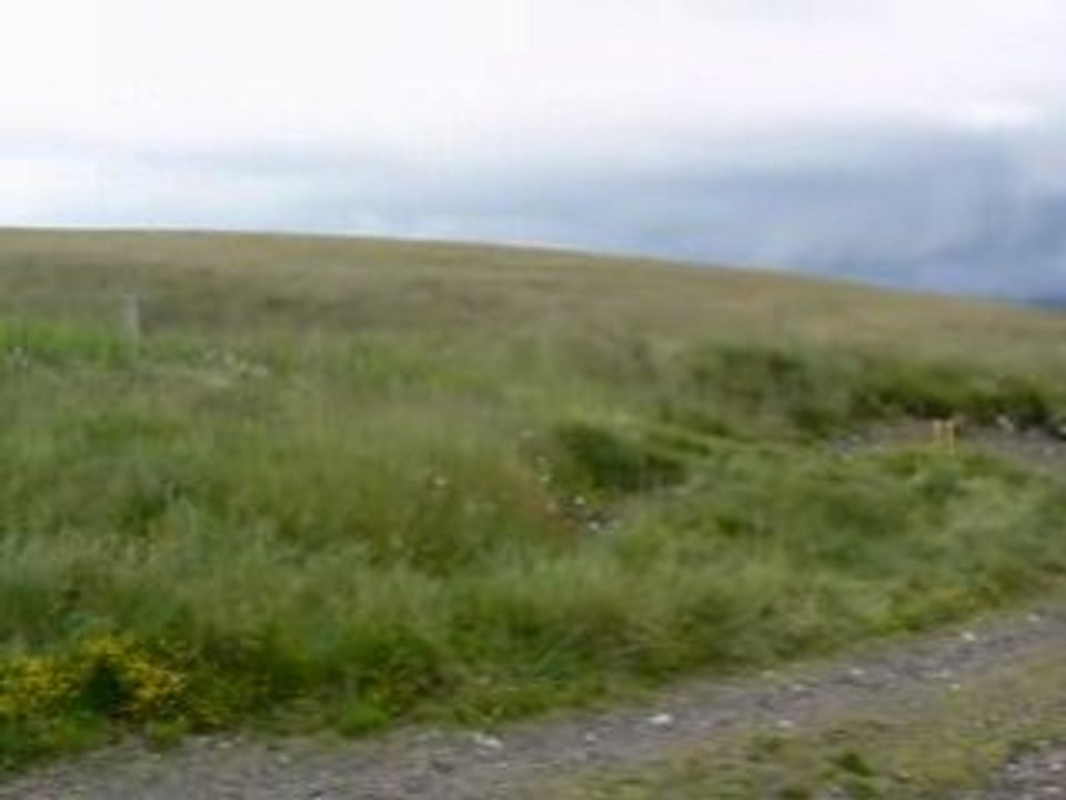 Banneordanche