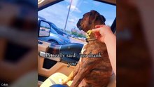 Funny Animals With Different Personalities 😇💖