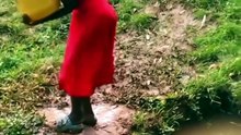 #viral #trending #dailymotion #popular