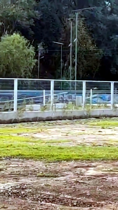 Terror en Paraná: un feroz tiroteo obligó a suspender un partido de hockey