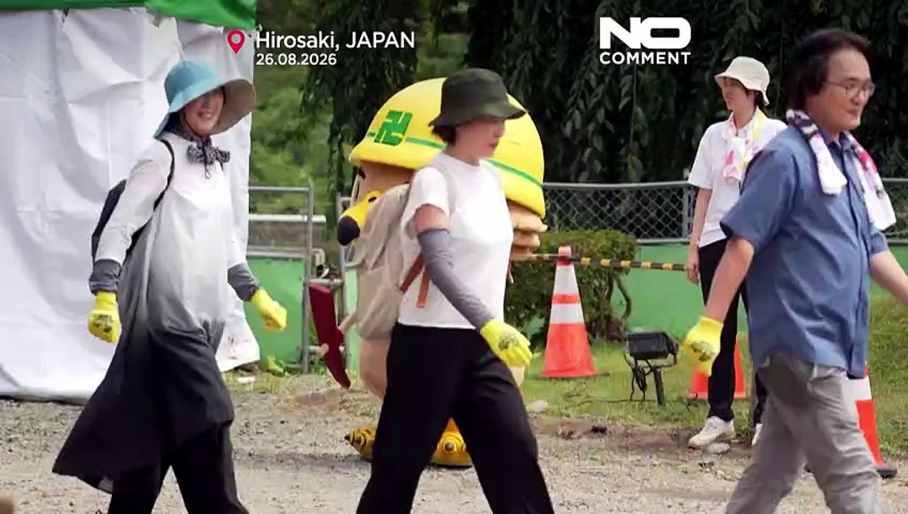 Yüzlerce gönüllü tarihi Hirosaki Kalesi'ni eski yerine çekti