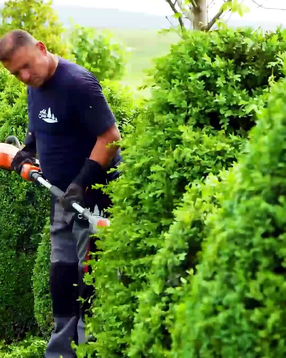 The satisfying journey of a garden makeover 🌳🌲
