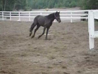 Tornado qui se défoule