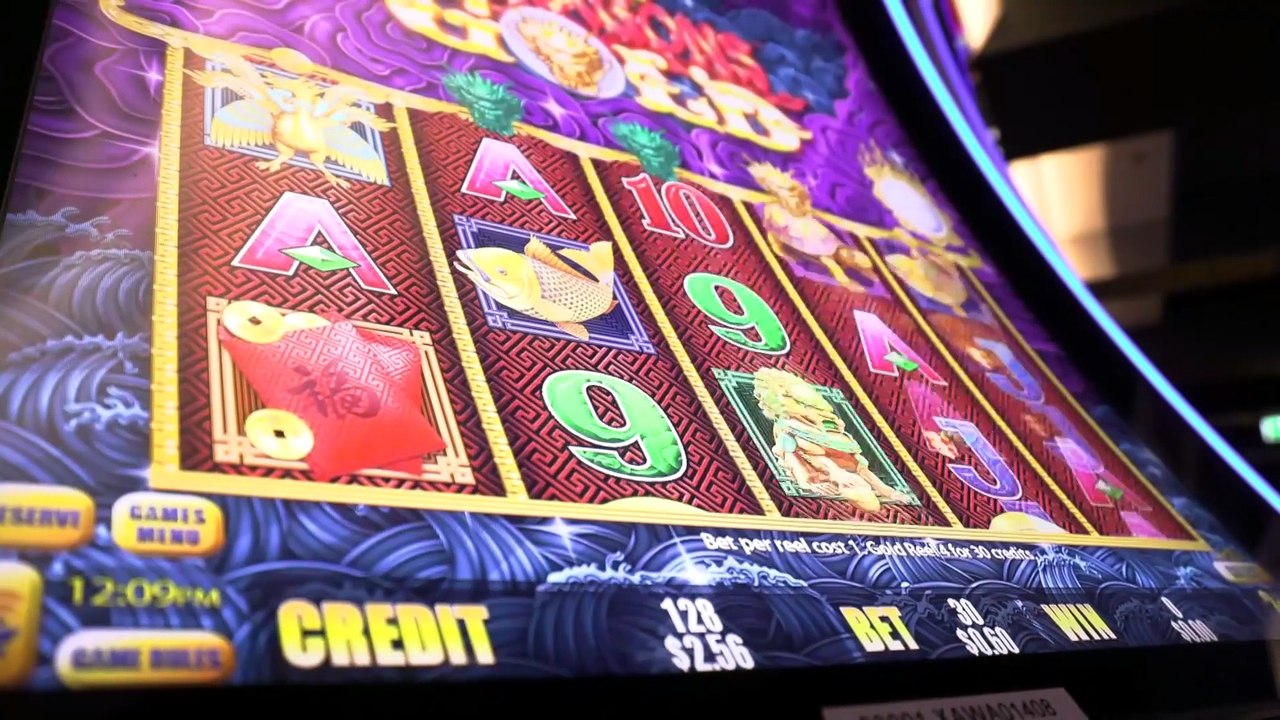 NSW poker machine reform introduces facial recognition technology for problem gamblers