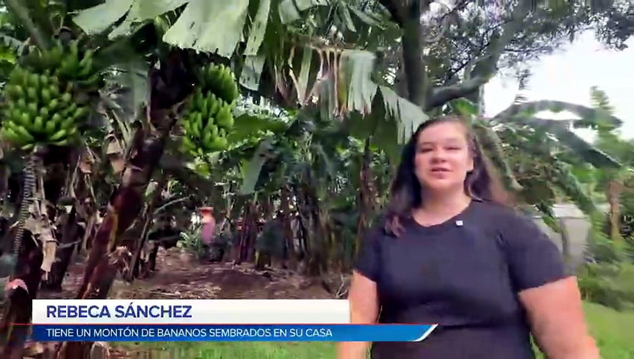 mqn-del-patio-al-helado-los-bananos-que-protago...