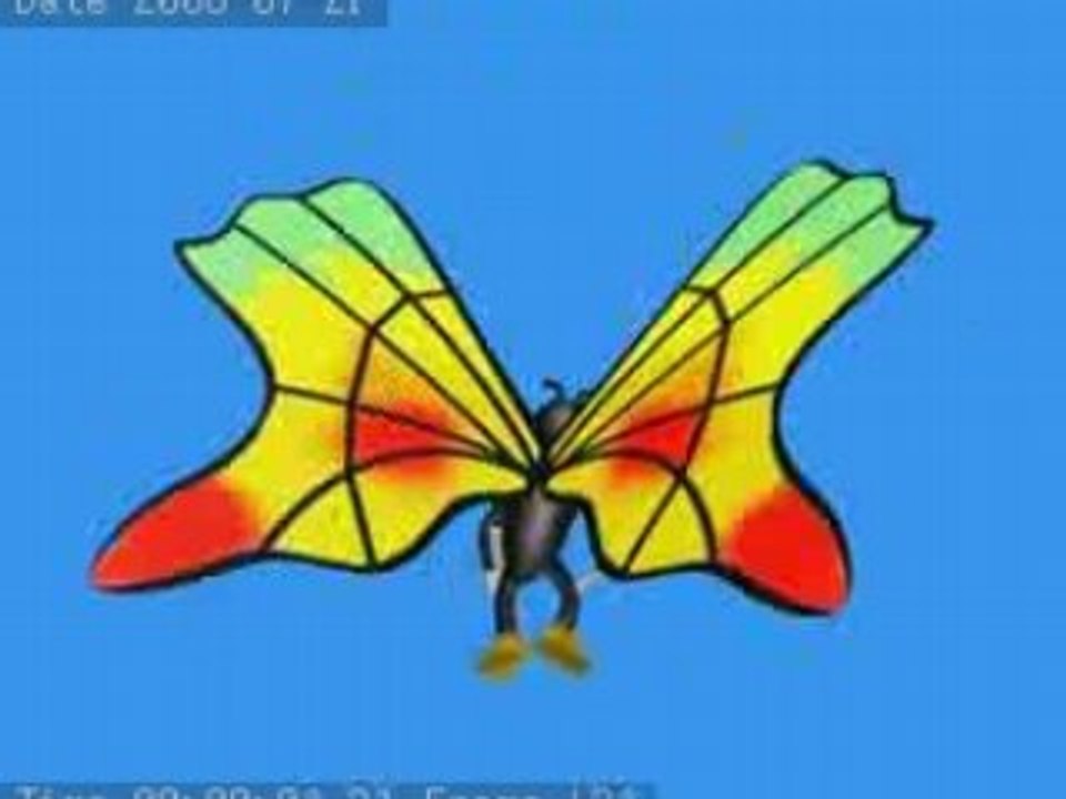 Papillon PClan 002
