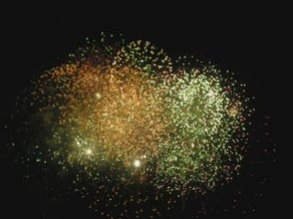 14 juillet 2008