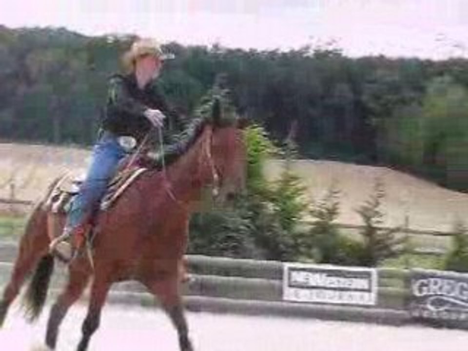 Concours reining chez Greg's Barn