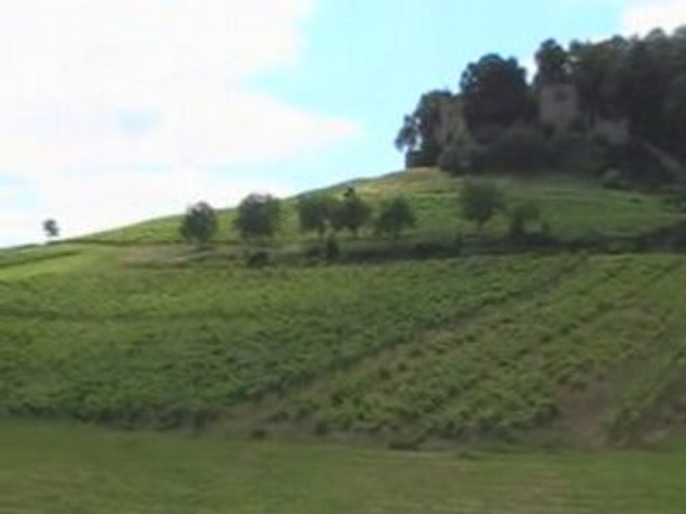 arlay