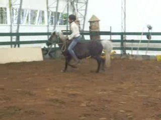 Patou qui saute avec Puce 3