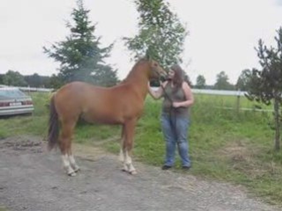 Sheitan sac plastique_0001