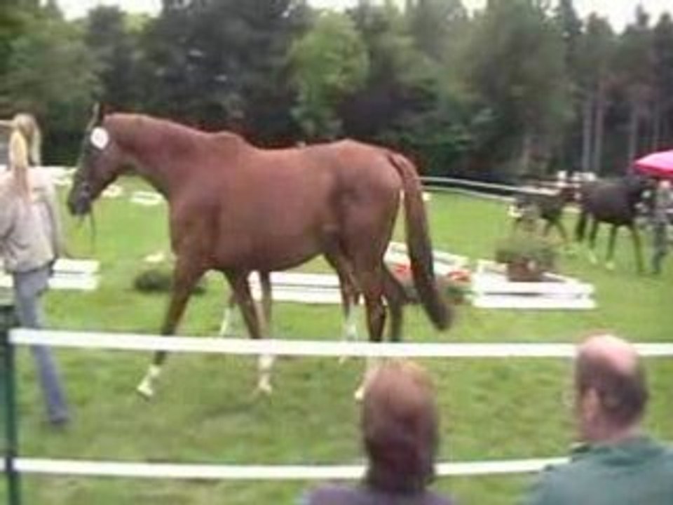 Cayhan at Lastrup 3