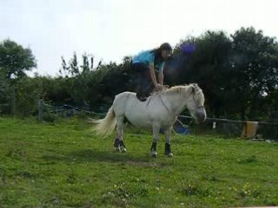 DSCF1803