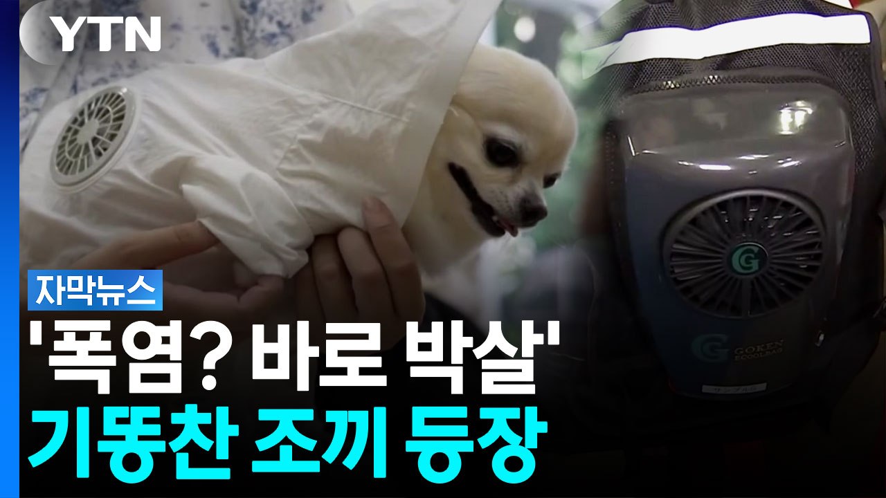 입소문 나며 붙티나게 팔리는 중...'더위 박살' 조끼 등장 [자막뉴스]  / YTN