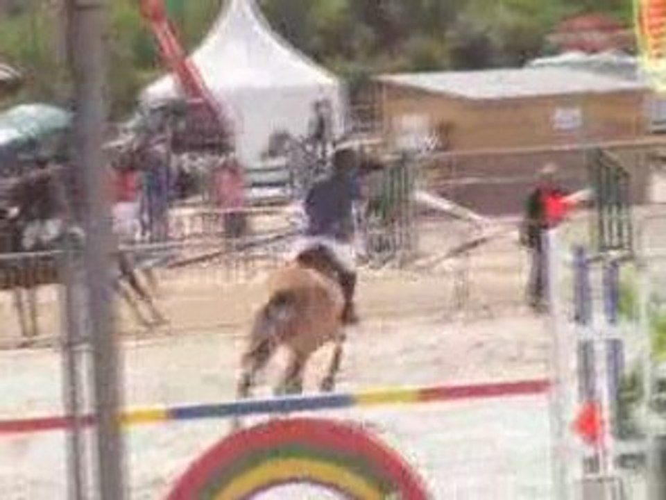 lamotte 2008 phase finale