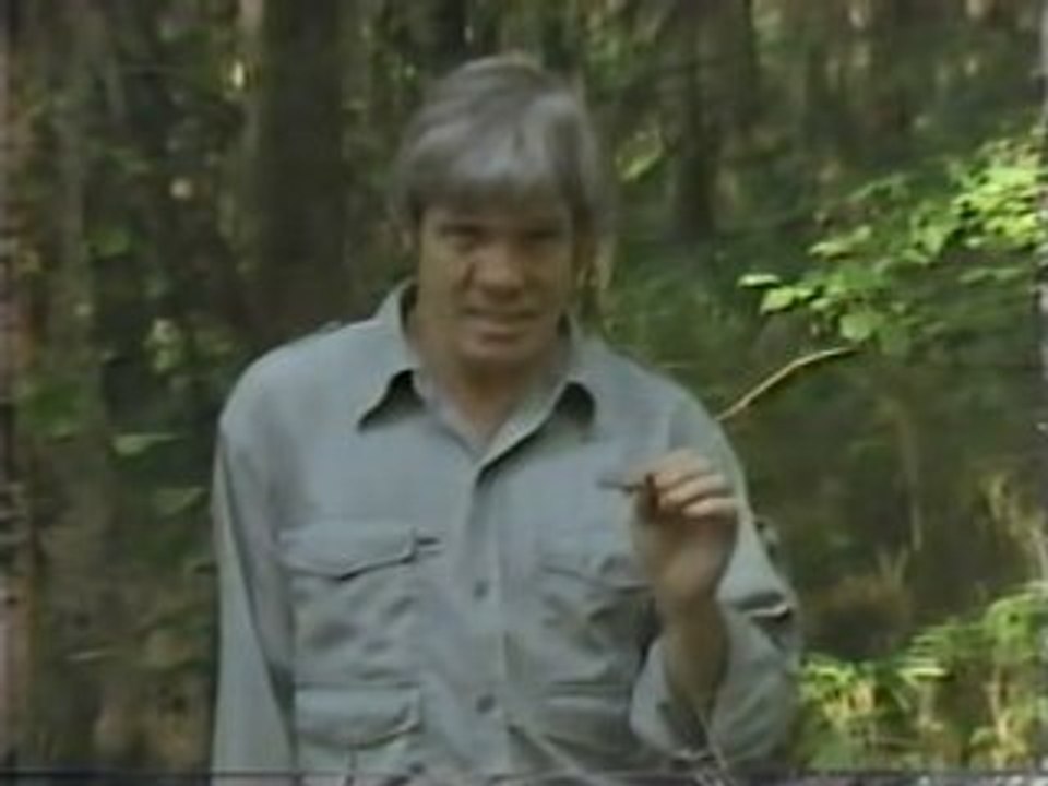 Snakes-WhitGibbons-1986