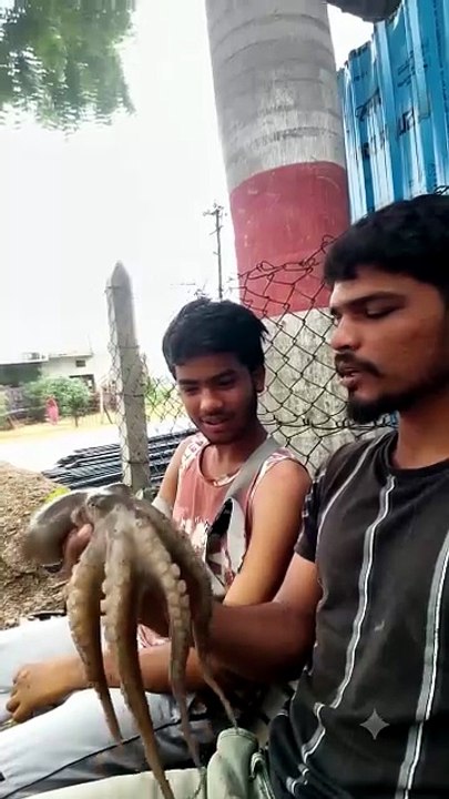 Shocking Live Octopus Finding! 🐙