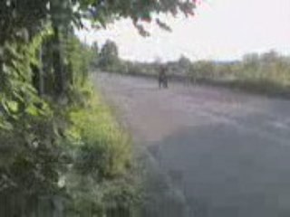 250 rm mulhouse frero akro